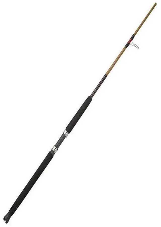 Main image of Tiger Spinning Fishing Rod