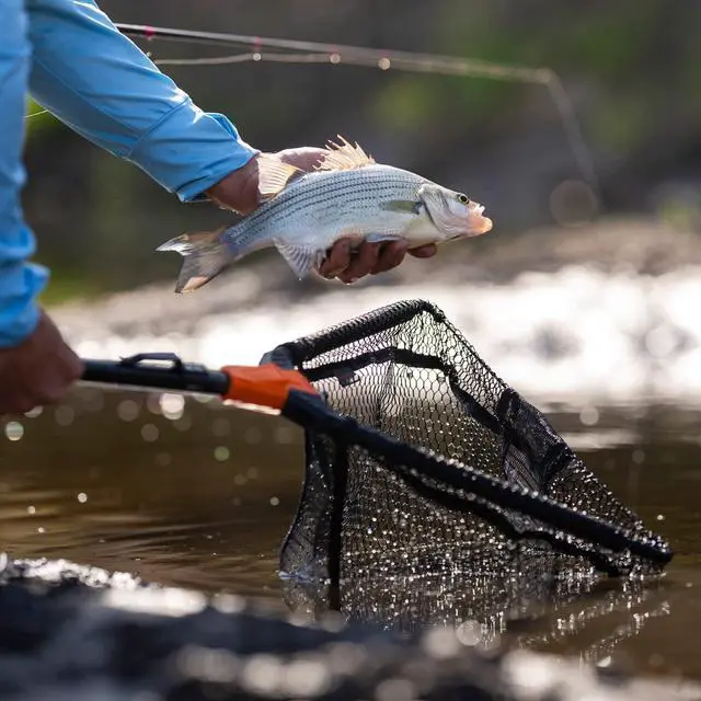 Alt view image 6 of 7 - Pontus Fishing Net, Foldable & Lightweight Landing Net with Built in Length Scale, Strength Aluminum Handle, Fishing Gear and Gift for Men