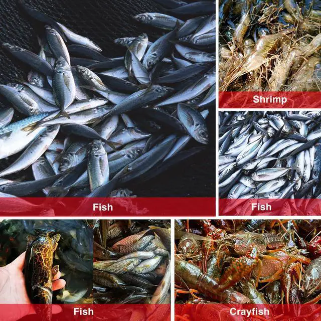 Alt view image 4 of 7 - Professional Seine Net | 5 to 50 ft | Ultra Strong | Maximizes Catch | Ideal for Both Commercial and Recreational Fishing
