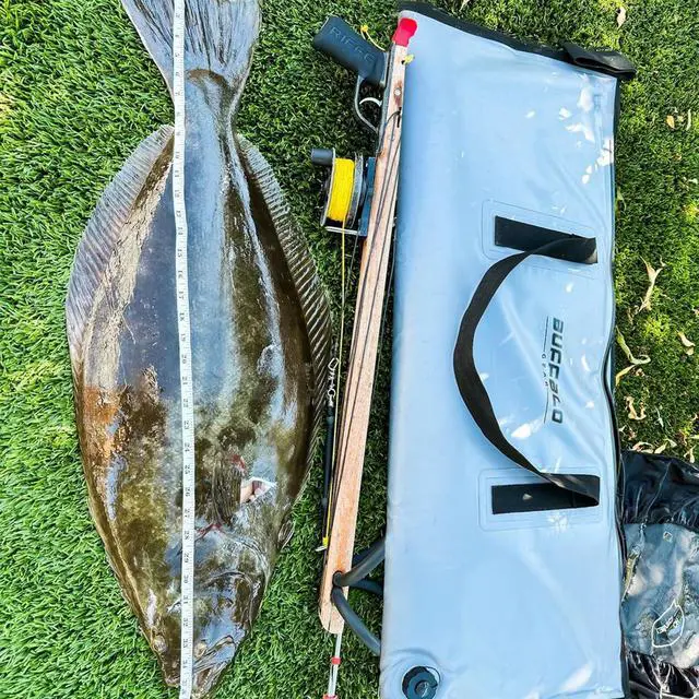 Alt view image 5 of 7 - Insulated Fish Cooler Bag Portable Fish Kill Bag Keep Ice-cold More Than 48 Hours
