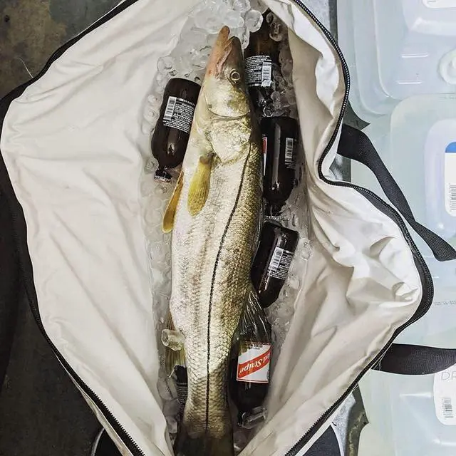 Alt view image 7 of 7 - Insulated Fish Cooler Bag Portable Fish Kill Bag Keep Ice-cold More Than 48 Hours
