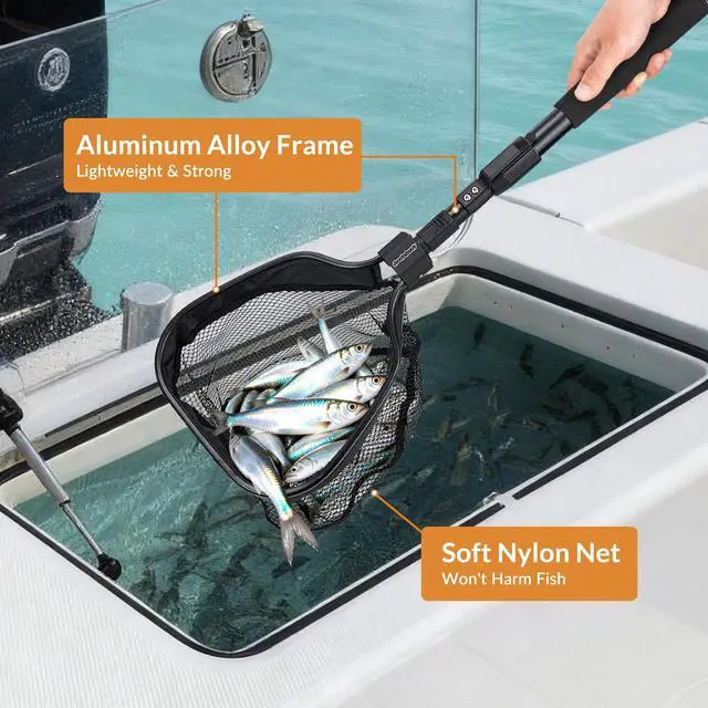 Alt view image 2 of 7 - Floating Bait Net Aluminum Livewell Net, 8" Hoop, 15"21" Handle, Soft Mesh, EVA Grip, Belt Hook & Anti-Drop, for Minnows, Sardines, Herring Telescopic & Collapsible Baitfish Net