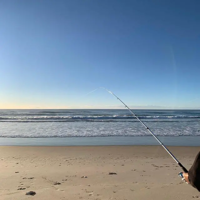 Alt view image 6 of 7 - Whistytwig Carbon Fiber Telescopic Fishing Rod - Portable Collapsible Design for Travel and Adventure - Versatile Saltwater and Freshwater Fishing Pole