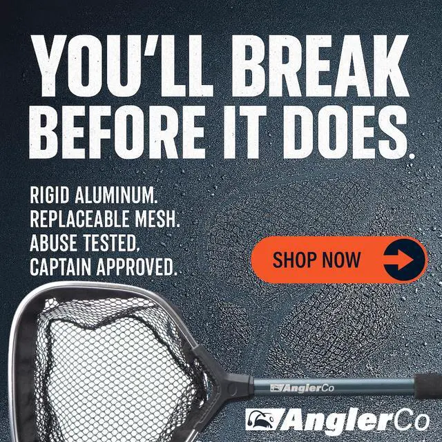 Alt view image 6 of 6 - Core Series Bait Net, 12" Handle, 8" Hoop, Aluminum Frame with EVA Grip
