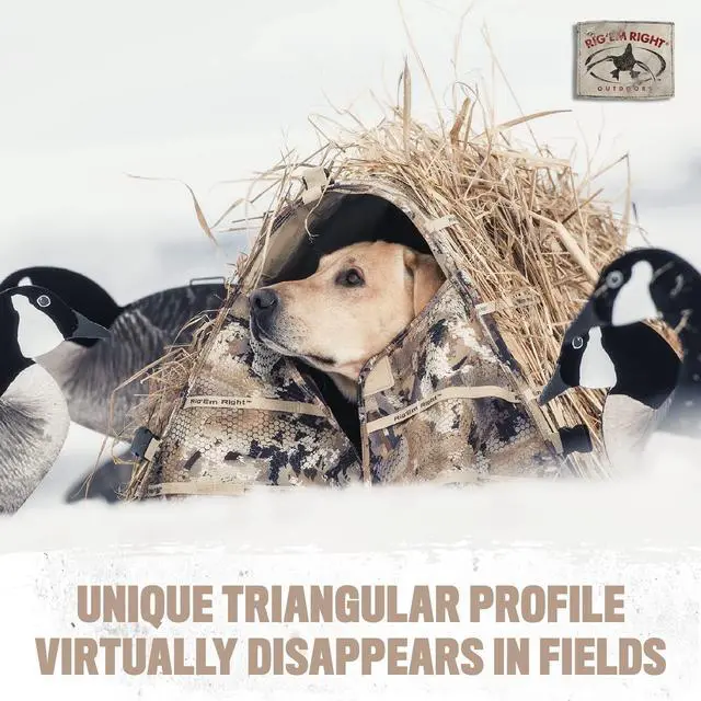 Alt view image 5 of 5 - Rig'Em Right Waterfowl Field Bully Bird Hunting Dog Blind - Ultra Quick Setup with no Pins, Hinges or Poles