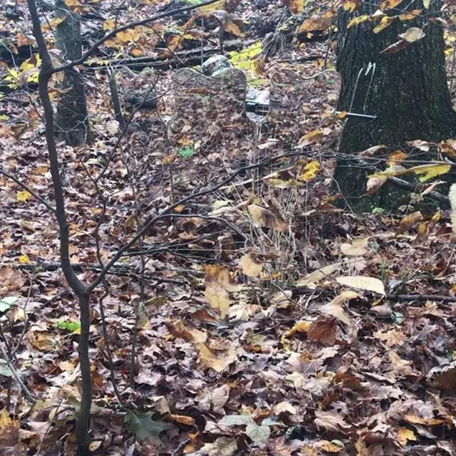 Alt view image 4 of 7 - Hunting Blind - 3 Sizes