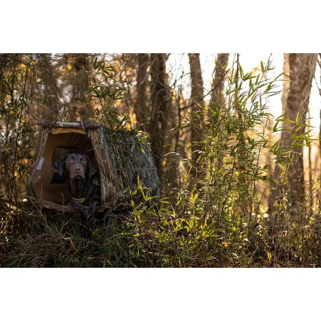 Alt view image 7 of 7 - Invisi Lab Dog Blind for Waterfowl Hunting & Gun Dogs