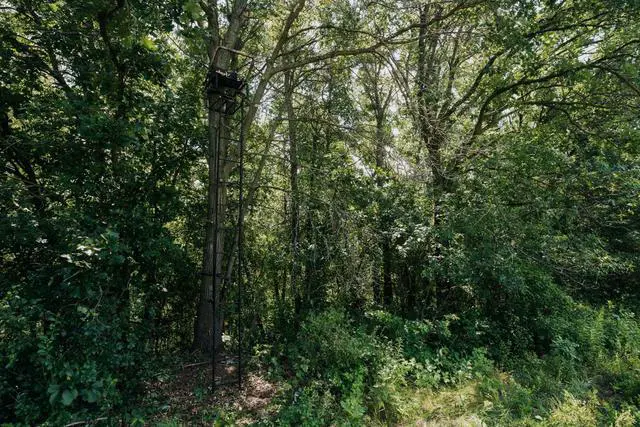 Alt view image 6 of 7 - Odyssey Xtl 20' Ladder Stand, 350 Lb Capacity | Hercules and Tree-Lok Safety, Silencer Tech, Padded Shooting Rest and Armrests
