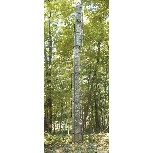 Alt view image 2 of 3 - 20' Wide Maxi Tree Stand Ladder Climbing Equipment for Hunting Gear and Accessories