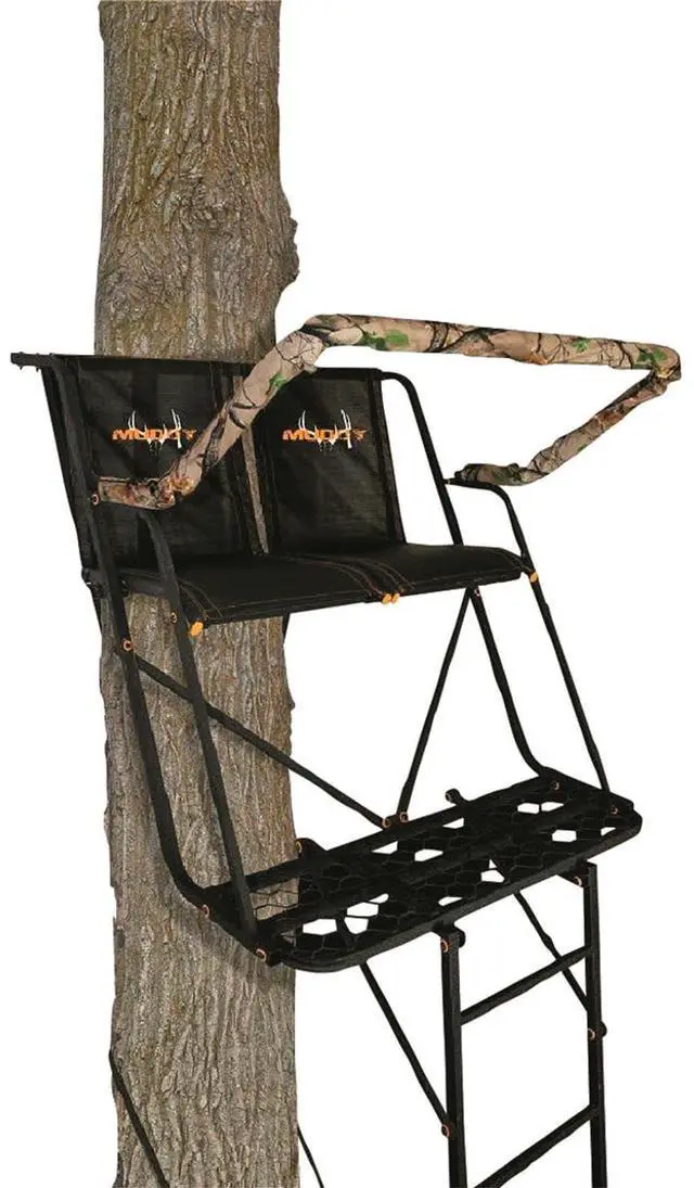 Main image of Big Dually 16' 2-Man Ladder Tree Stand, Black