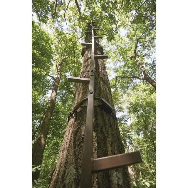 Alt view image 4 of 5 - 20' Rapid Climbing Sticks for Tree-Stands, Hunting, 4-Pack (5' Each)