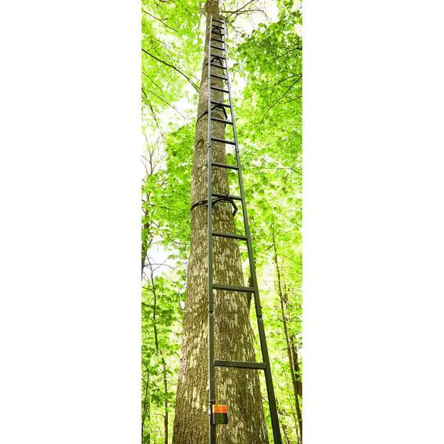Alt view image 4 of 5 - Climbing Ladder for Tree Stands, Climbing Equipment for Deer Hunting, 20