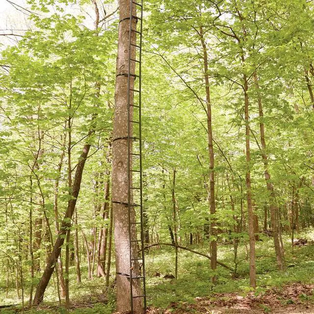 Alt view image 5 of 5 - Climbing Ladder for Tree Stands, Climbing Equipment for Deer Hunting, 20
