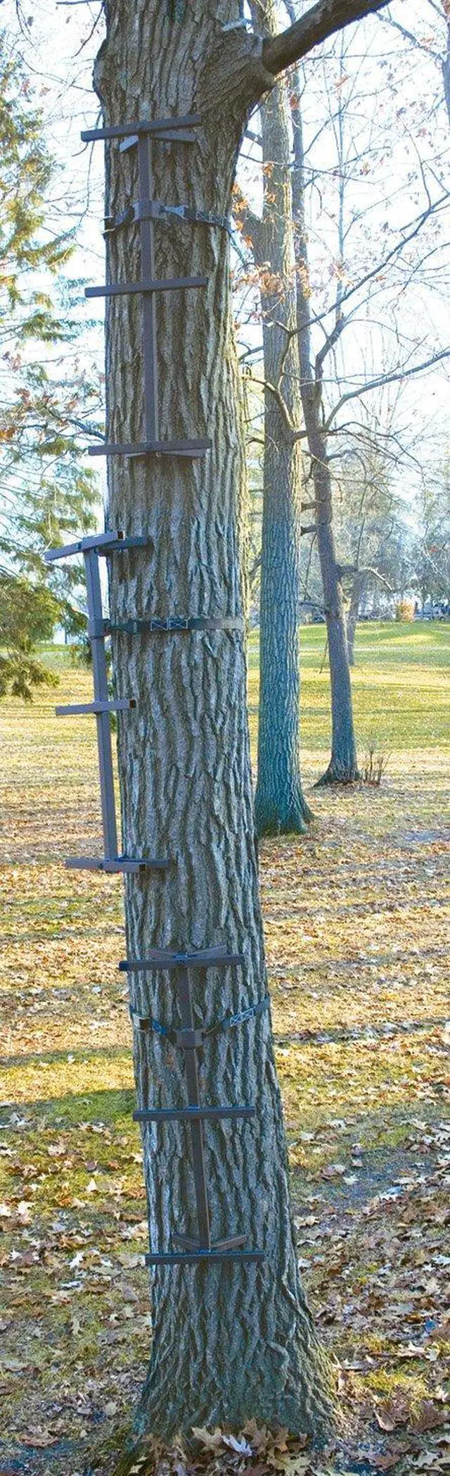 Main image of Quick Tree Climbing Sticks Ladder Steps for Treestands Deer Hunting Gear and Accessories, 3 Pack