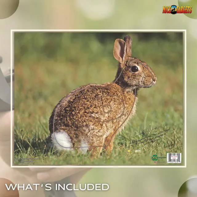 Alt view image 2 of 7 - Rabbit Archery Target 11.25" x 14.25" Photorealistic Life Size Plastic Animal Target Practice, Bow Targets for Archery Training, Hunting Targets with Vanishing Vital Zones, Made in USA
