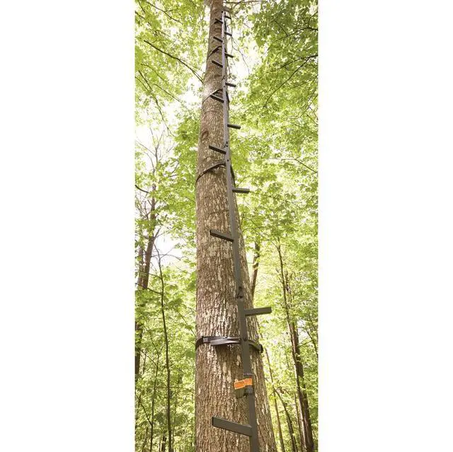Alt view image 2 of 5 - Climbing Stick Ladder for Tree Stands, Climbing Equipment for Deer Hunting, 25