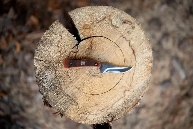Alt view image 7 of 7 - Generational USA Series Traditional Fixed and Folding Knives with 1095 HC Stainless Steel Blades, Sawcut Bone Handles, and Made in USA for Hunting, Skinning, EDC, Field Dressing, and Outdoor