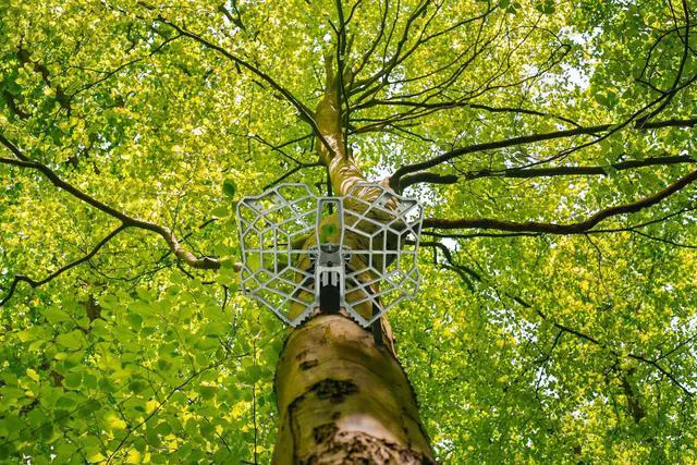 Alt view image 6 of 7 - Tree Saddle Hunting Platform, Reliable Saddle Platform with Non-Slip Ridge Grips, Mobile Cast Aluminum Construction, Fully Adjustable Silent Hunting Saddle Platform, 16.1"x12.2" Platform