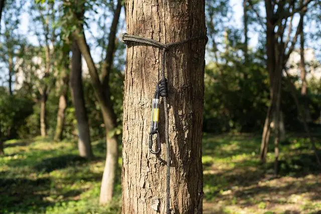 Alt view image 3 of 4 - Hunting Safety Linemans Rope 30ft with Prusik Knot and Single Carabiner for Hunter Climbing Tree Stand Hanging Ladder Stand or Bow Lifeline,Fall Protection When Hunting on Stands