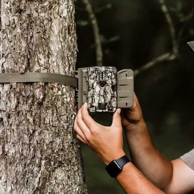 Alt view image 3 of 4 - A900 Bundle Trail Camera (2020) | Batteries | 16 MB SD Card | White Bark (MCG-14001)