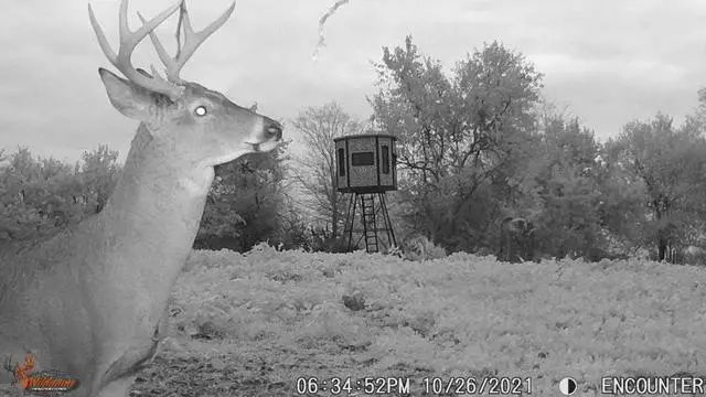 Alt view image 3 of 4 - Kicker Lightsout 18MP Trail Camera and Trail Pad Image Viewer Combo