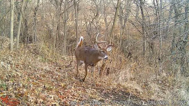 Alt view image 4 of 4 - Kicker Lightsout 18MP Trail Camera and Trail Pad Image Viewer Combo