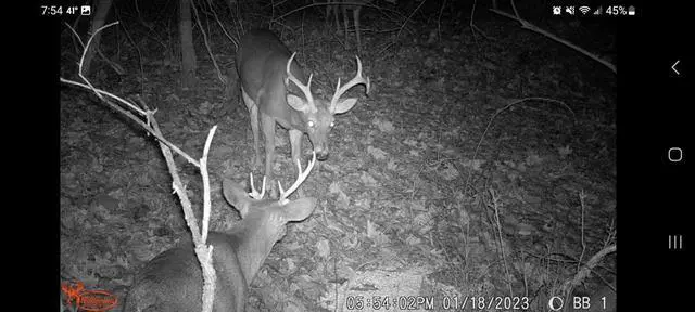 Alt view image 2 of 4 - Kicker Lightsout 18MP Trail Camera and Trail Pad Image Viewer Combo