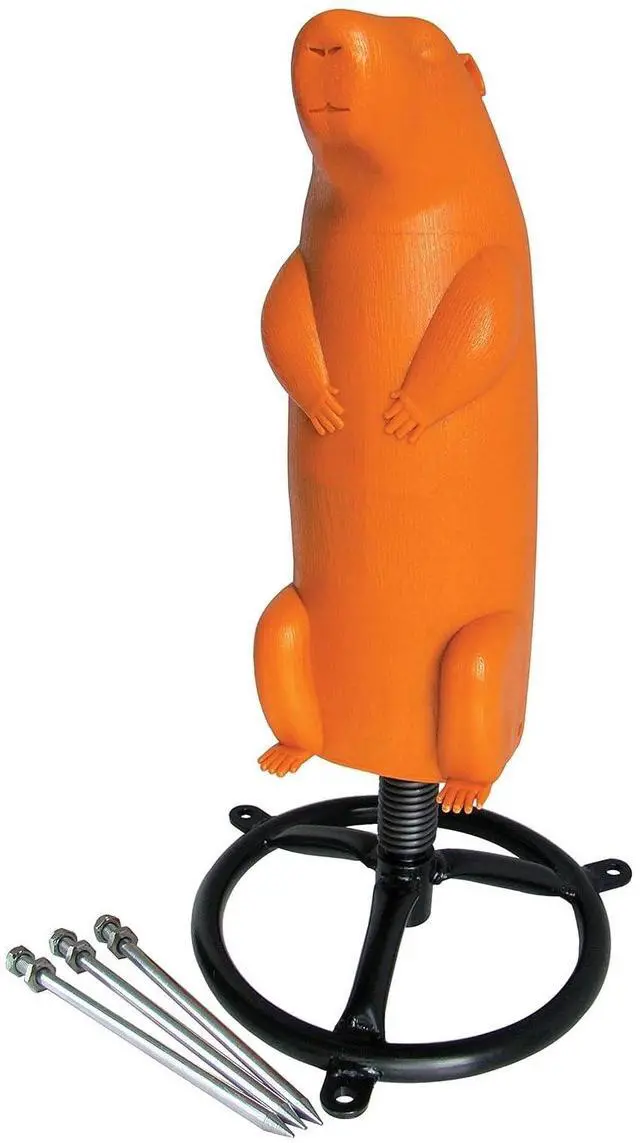 Main image of Bowling Pin Hanging Target