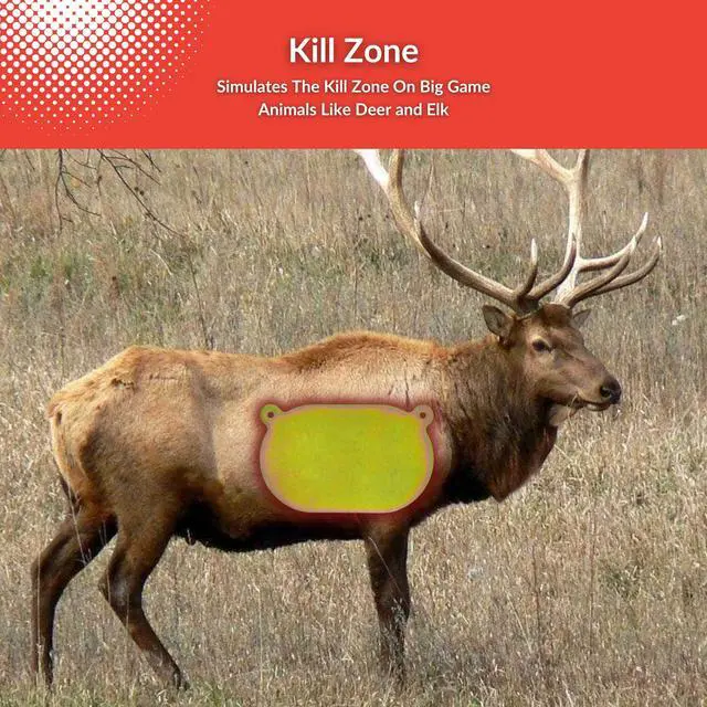 Alt view image 2 of 6 - Deer Big Game Vitals Target