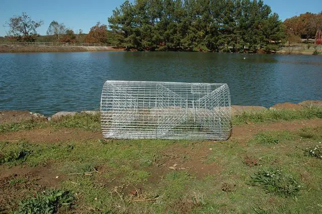 Alt view image 2 of 7 - Catfish Trap 20"x54" Galvanized Wire Fishing Trap with Dual Entry & Built-in Bait Box Durable, Maintenance-Free Design