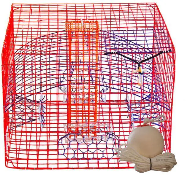 Main image of Florida XL Blue Crab Trap with 6" White Buoy Kit 18 x 24 x 24 Recreational Blue Crab Pot Four-Throat Saltwater Crab Trap Includes Buoy & 30' Rope PVC Coated Wire Fishing Trap