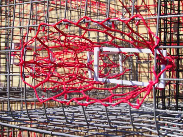 Alt view image 6 of 7 - Florida XL Blue Crab Trap with 6" White Buoy Kit 18 x 24 x 24 Recreational Blue Crab Pot Four-Throat Saltwater Crab Trap Includes Buoy & 30' Rope PVC Coated Wire Fishing Trap