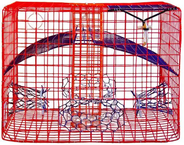 Alt view image 6 of 7 - Florida XL Blue Crab Trap 18 x 24 x 24 Recreational Blue Crab Pot Four-Throat Saltwater Crab Trap Heavy Duty PVC Coated Wire Fishing Trap