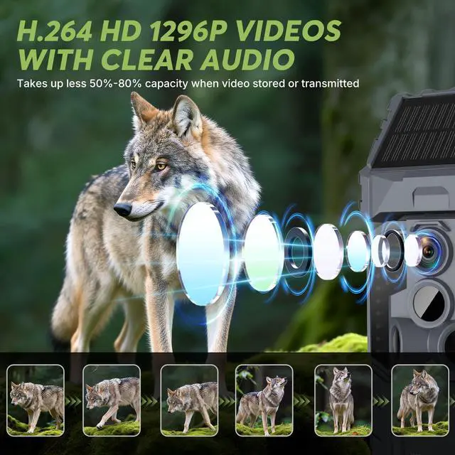 Alt view image 4 of 7 - Solar WiFi Trail Camera with 7800mAh Built-in Battery, 48MP Game Camera for 24/7 Wildlife Security, 0.1s Trigger, IP66 Waterproof Wildlife Cameras with 8 AA Batteries & 64GB SD Card