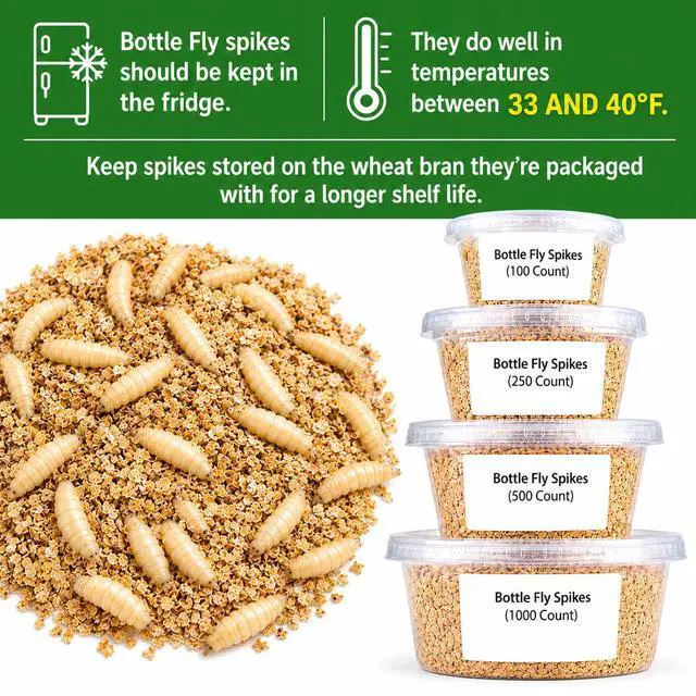 Alt view image 4 of 5 - 5000 Count Premium Live Blue Bottle Fly Maggots (Spikes) Fishing Bait for Trout, Perch, Crappie & Panfish