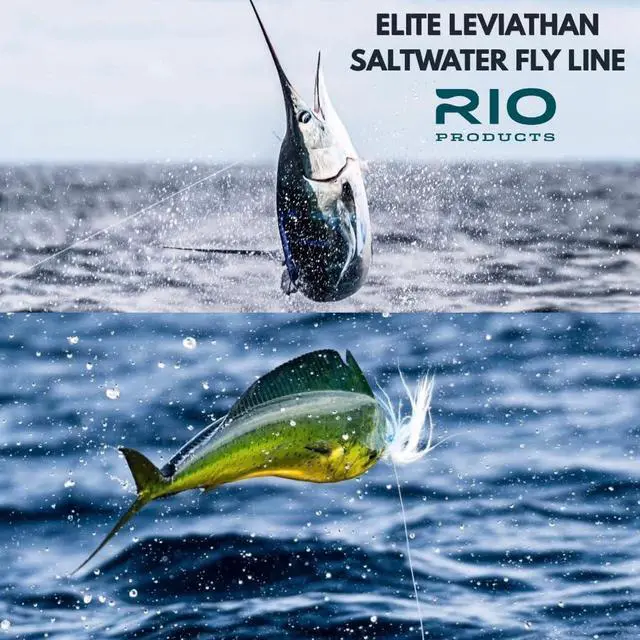 Alt view image 4 of 6 - Elite Leviathan - Tropical Series Saltwater Fly Line - Designed to Target Large Tropical Species - Low Stretch and Ultra Slick Performance - Easy Casting Fly Fishing Line
