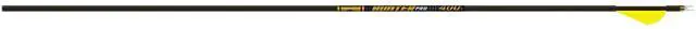 Main image of Hunter PRO Arrows with 2-Inch Raptor Vanes (1-Dozen)