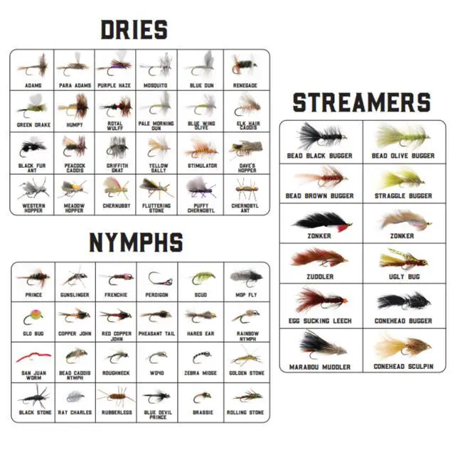 Alt view image 2 of 7 - Trout Box - Premium Trout Flies - Assortment of Dry Flies, Nymphs, Euro Nymphs, Stimulators, Wooly Buggers and Streamers for Fly Fishing