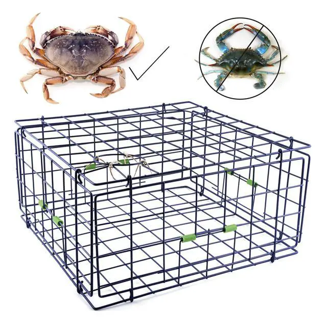 Alt view image 5 of 7 - 24" Fold-Up Pacific Coast Crab Trap | Vinyl-Coated Steel Wire, Foldable, Easy Storage & Transport | 4 Entrance Doors & 2 Escape Rings | Blue