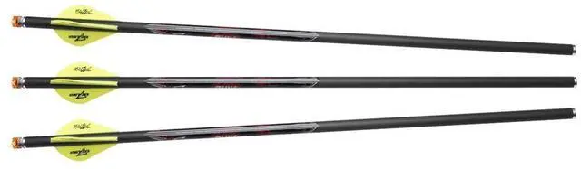 Main image of Diablo 18" Illuminated or Carbon Arrows with Beacon Nocks Designed Matrix Series Crossbows