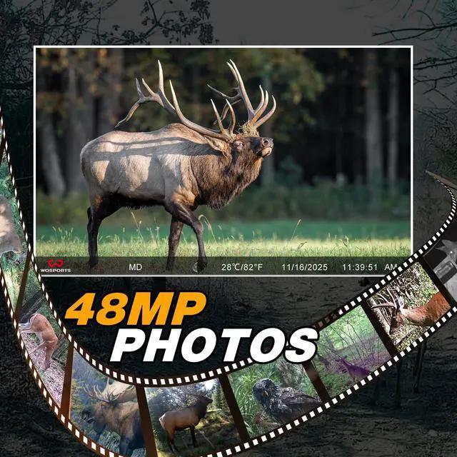 Alt view image 4 of 7 - AI Trail Camera 48MP 4K Game Camera | 48MP 4K Auto Animal Classification No Glow Night Vision Deer Scouting Backyard Monitoring with Sound