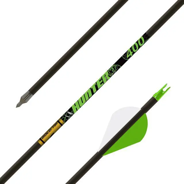 Main image of Hunter XT Arrows with Raptor Vane (Pack of 6)