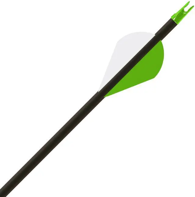 Alt view image 2 of 7 - Hunter XT Arrows with Raptor Vane (Pack of 6)