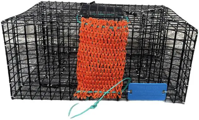 Main image of JOYFISH Pinfish Trap with MESH CHUM Bag, black