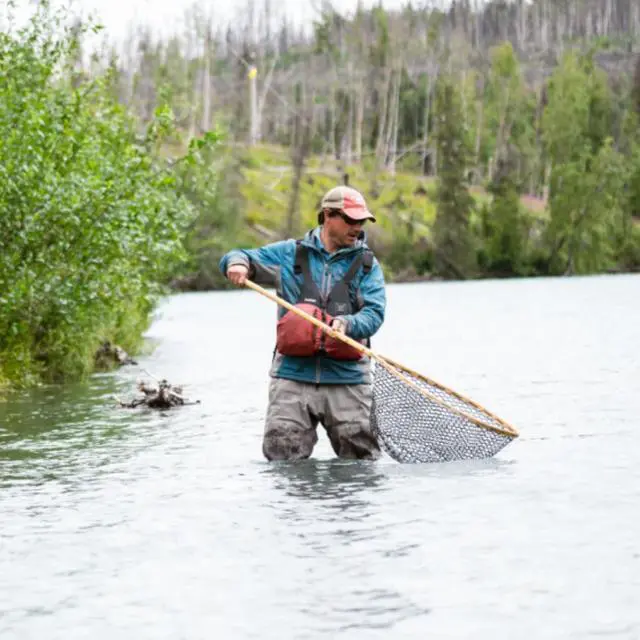Alt view image 6 of 7 - Premier Gold Max Fly Fishing Line - Maximum Power and Effortless Performance - Smooth Casting Fly Line