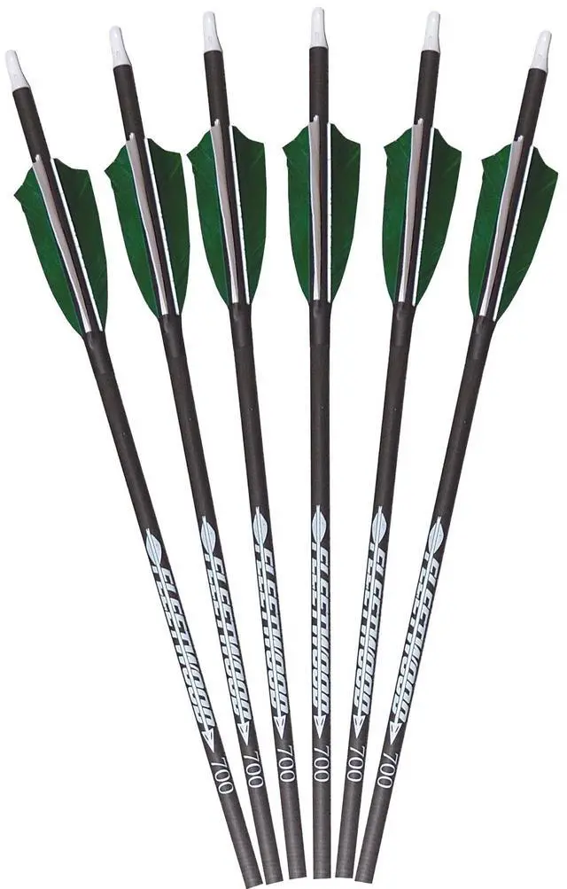 Main image of Arrows with Feathers 6 Pack