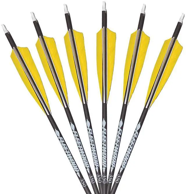 Main image of Arrows with Feathers 6 Pack