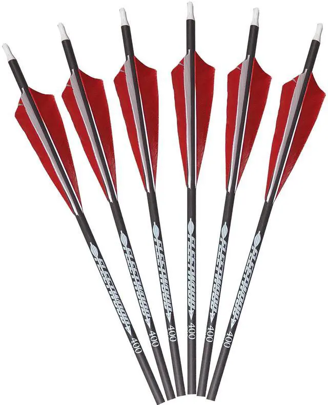 Main image of Arrows with Feathers 6 Pack