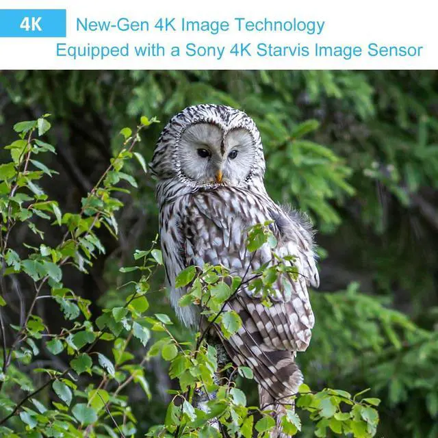 Alt view image 4 of 7 - A50 Trail Camera (Non-Cellular, Non-WiFi), Enhanced Low-Light Performance, True 4K Video, 0.1s Trigger, 100ft No-Glow Night Vision, Motion Activated Wildlife Camera
