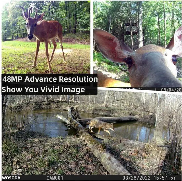 Alt view image 2 of 6 - 2 Pack Trail Cameras with Night Vision Motion Activated Waterproof,48MP Hunting Game Camera,1080P HD Trail Cam for Wildlife Monitoring,Outdoor Scouting & Security(Non-Cellular Non-WiFi)